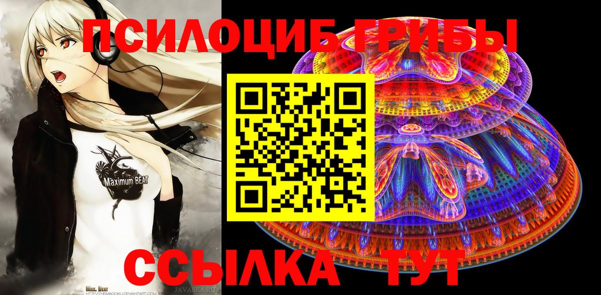 Галлюциногенные грибы Psilocybine cubensis Избербаш